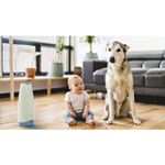 imageUrl_3