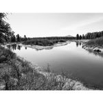 imageUrl_28