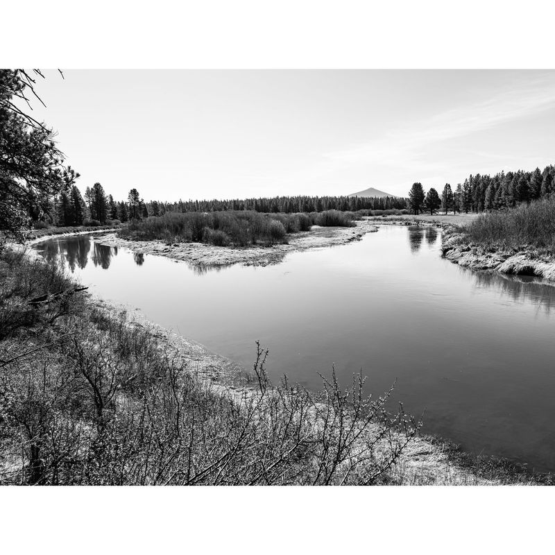 imageUrl_28