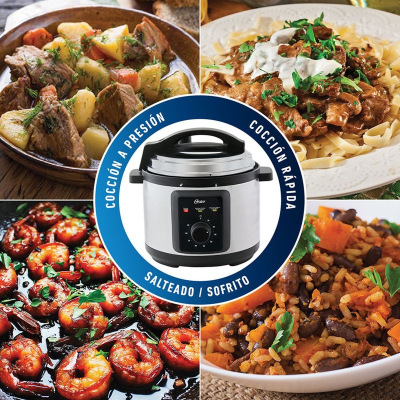 Oster express multi online cooker