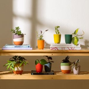 Maceta de Cerámica Esmaltado Ø7,5x8,5 cm