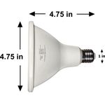 imageUrl_2