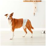 imageUrl_2