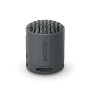 Sony Parlante Bluetooth SRS-XB100 Portátil Waterproof Negro