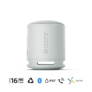 Sony Parlante Bluetooth SRS-XB100 Portátil Waterproof Gris