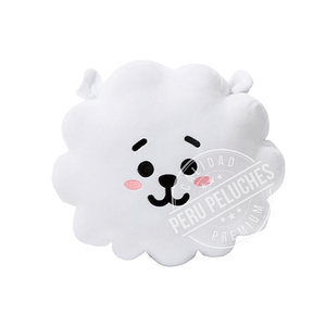 Peru Peluches Almohada BT21 RJ