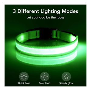 Vizpet Collar para Perro con Luz Led - Ajustable - Recargable Por USB - Superbrillante