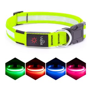 Vizpet Collar para Perro con Luz Led - Ajustable - Recargable Por USB - Superbrillante