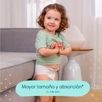 image-b53a0a8524c84b609bbb5ea9e765965e