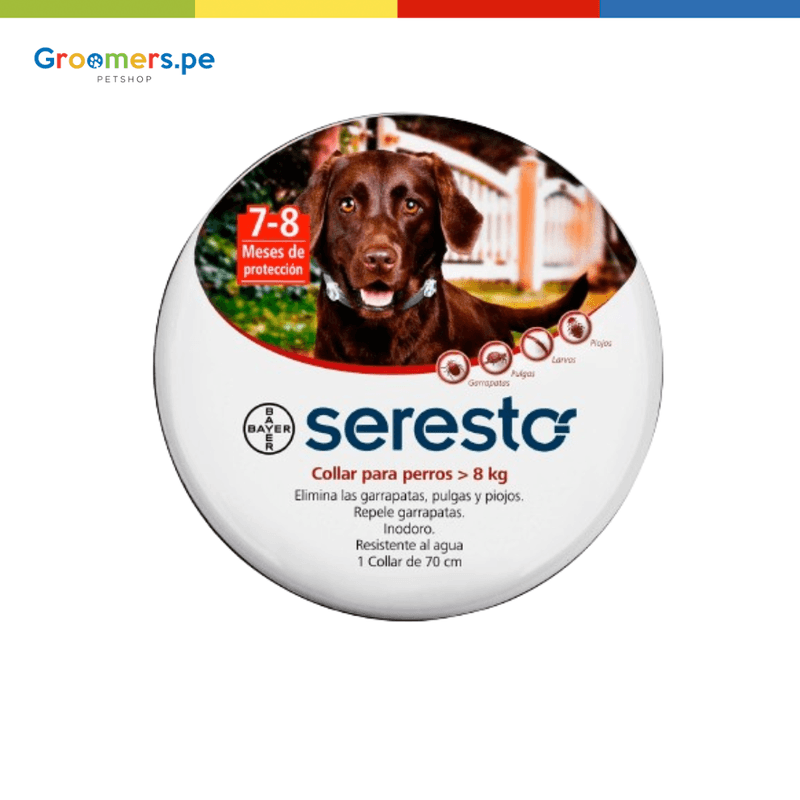 image-2e44d3bc35044f06bea2d4eeef6f5bc5