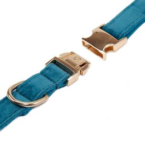 Collar para Mascotas Talla S Azul