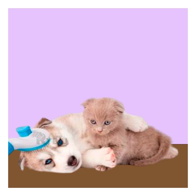 imageUrl_4