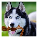 imageUrl_4