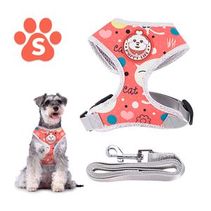 Arnés Pechera con Correa para Perro Gato Talla S Naranja FP3