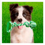 imageUrl_2