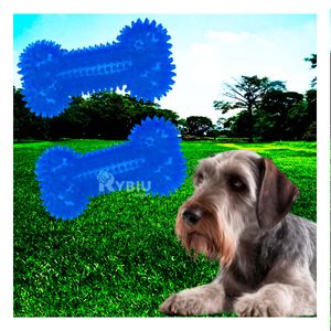 Set 2 Juguetes Pet de Hueso para Perro Azul