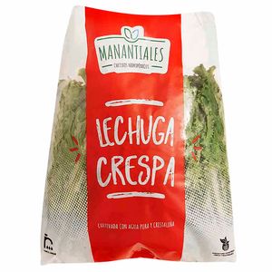 Lechuga MANANTIALES  Crespa Hidropónica