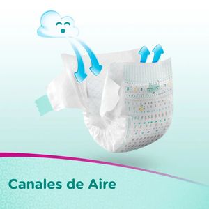 Pack x2 Pañales Pampers Premium Care Talla XG 42 unidades