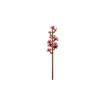 imageUrl_3