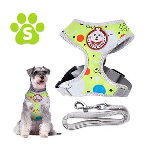 Arnés Pechera con Correa para Perro Gato Talla S Verde FP3