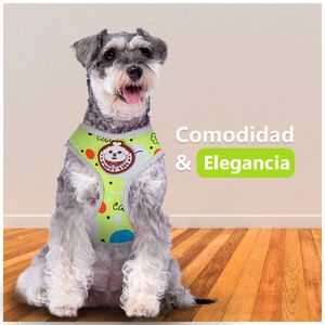 Arnés Pechera con Correa para Perro Gato Talla S Verde FP3