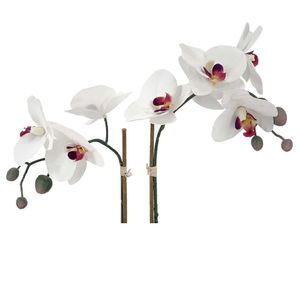 Orquidea Pot Ceramica 45cm