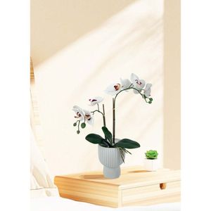 Orquidea Pot Ceramica 45cm