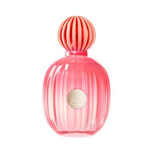 Perfume The Icon Splendid Antonio Banderas Para Mujer Edp 80Ml