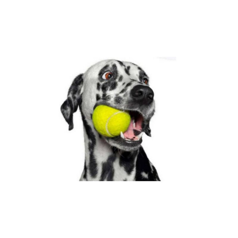 imageUrl_3