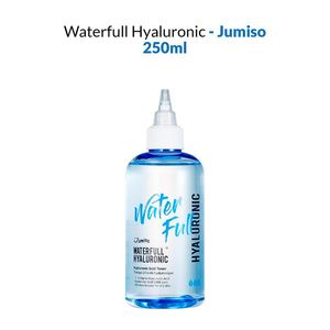 Waterfull Hyaluronic 250ml Jumiso