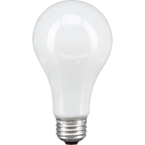Lámpara Fotográfica Incandescente Ushio Bba 250W 115 120V