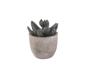 Planta artificial Suculenta Casa del Jardín Orange