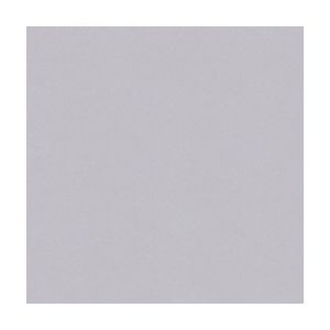 Piso Cerámico Cementicio Oxford Plata 60x60cm 2.58m2 San Lorenzo