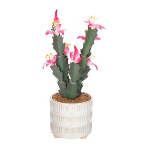 Maceta Cerámica Cactus Flor