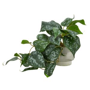 Maceta Cerámica Planta Emboss