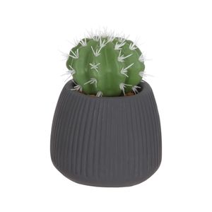 Maceta Cerámica Cactus Textura