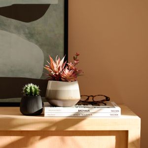Maceta Cerámica Cactus Textura