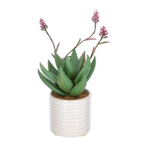 Maceta Cerámica Cactus Flor