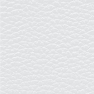 PORTA PASAPORTE PP ETR-15 584166