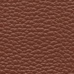 image-21d8f31398434bd89b547c0b30d10767
