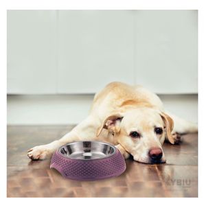 Plato Lindo para Perros con Bowl Acero Desmontable Purpura