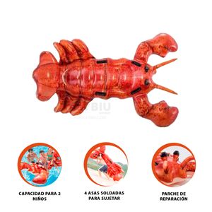 Flotador Funcional para Piscina en Rojo Y+Papel de Regalo