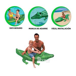 Flotador Multifuncional en Color Verde Y+Papel de Regalo