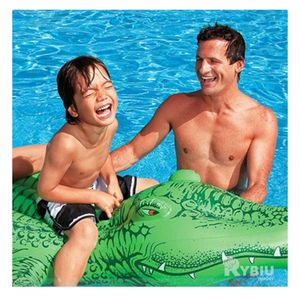 Flotador Multifuncional en Color Verde Y+Papel de Regalo