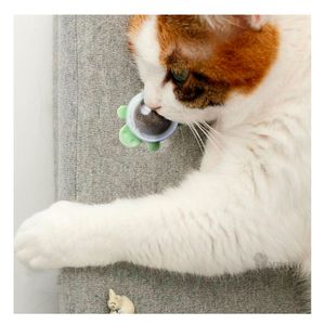Bola Limpia Dientes para Gatos Mantiene Boca Limpia Verde