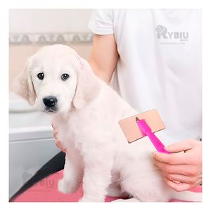 Peineta Mascotas con Puntas de Metal Suave Talla S Fucsia