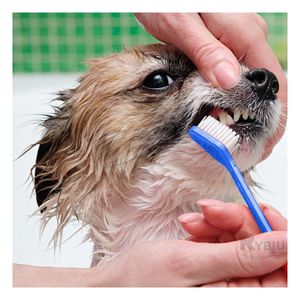 Kit Completo para Higiene Bucal de Mascotas en Color Azul