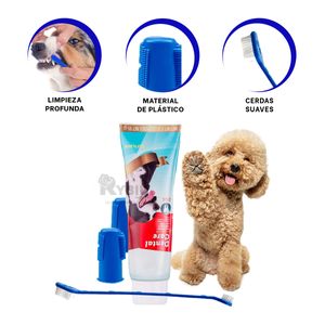 Kit de Cuidado Dental para Perros Azul Y+Papel de Regalo