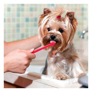 Kit Completo de Cuidado Dental para Mascotas Multicolor