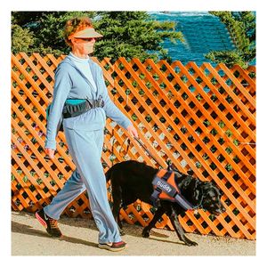 Arnes Pechera Service Dog Talla L de Color Anaranjado